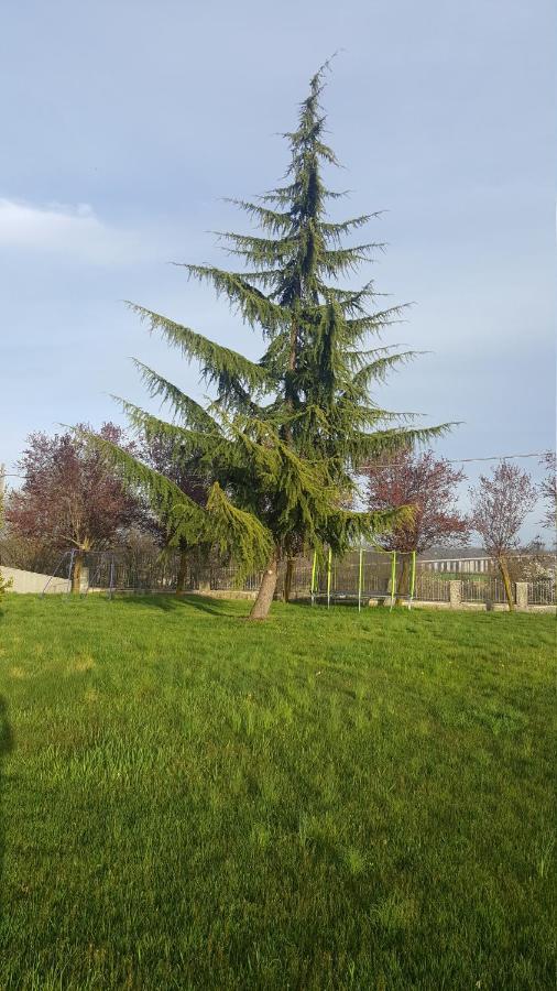 Appartamento Elena Fossano Exterior foto